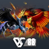 Sabong - Taya77 APK